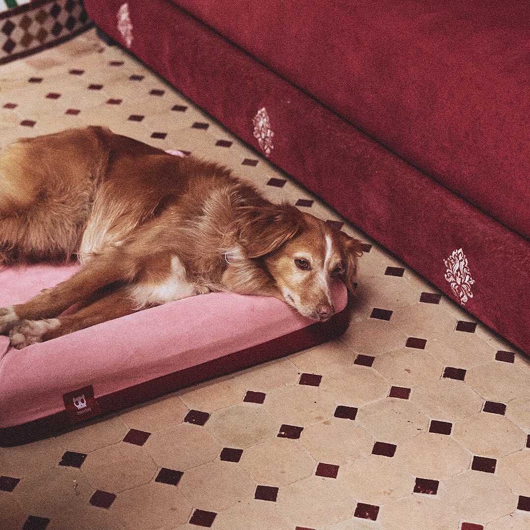 Zee.Dog Zee.Bed Hondenmand Najima