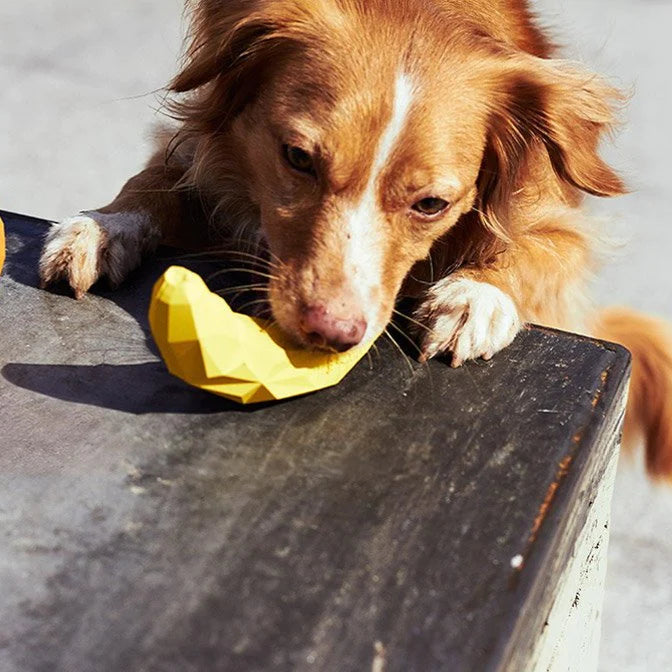 Zee.Dog Super Fruitz Banana