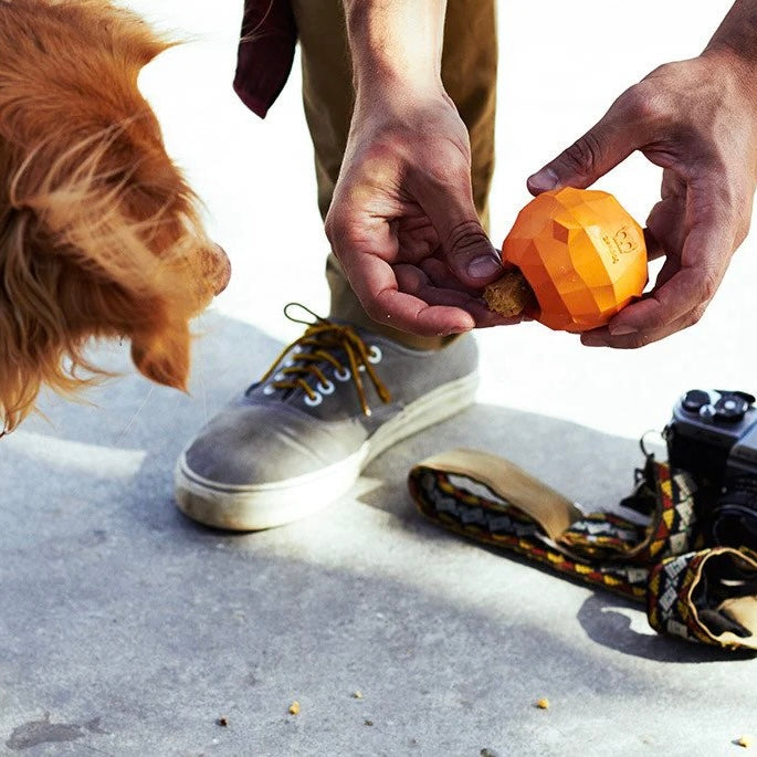 Zee.Dog - Super Fruitz Sinaasappel (7,4 cm)