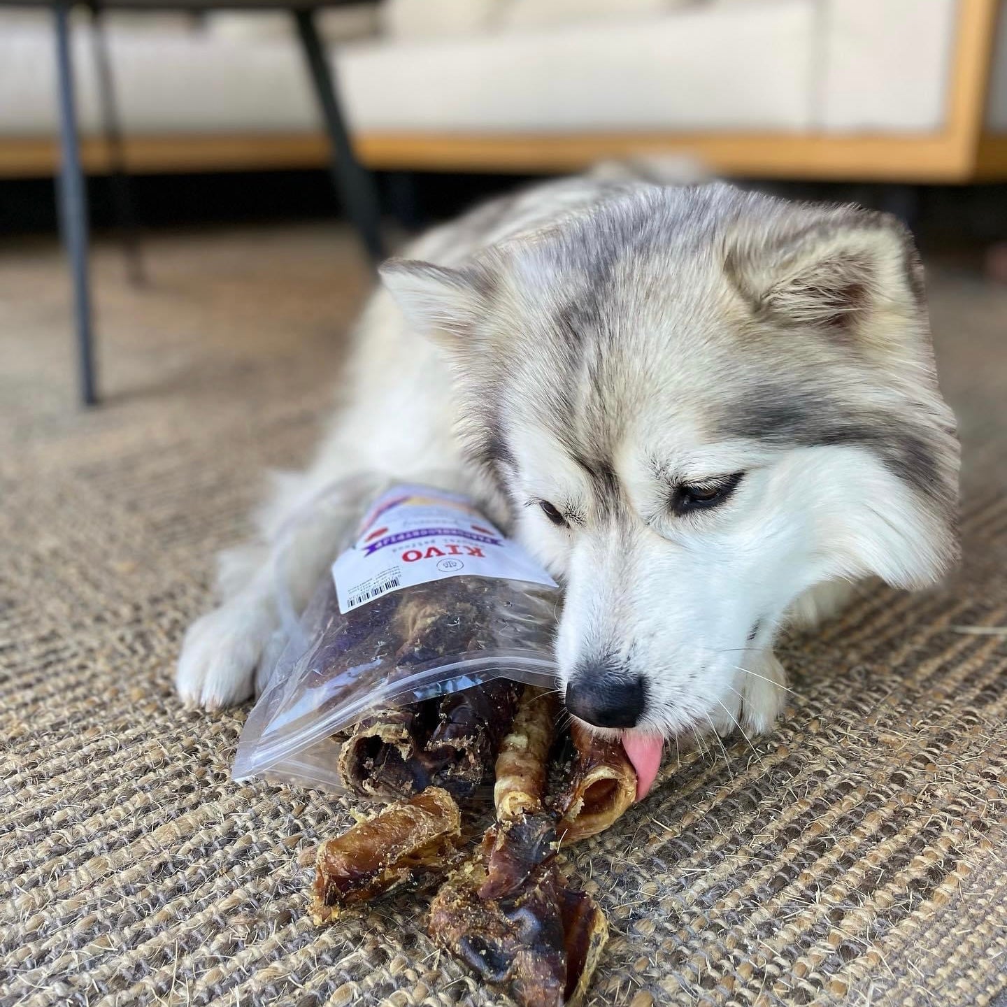 Kivo Petfood Paardenluchtpijp gezaagd - 250 gram