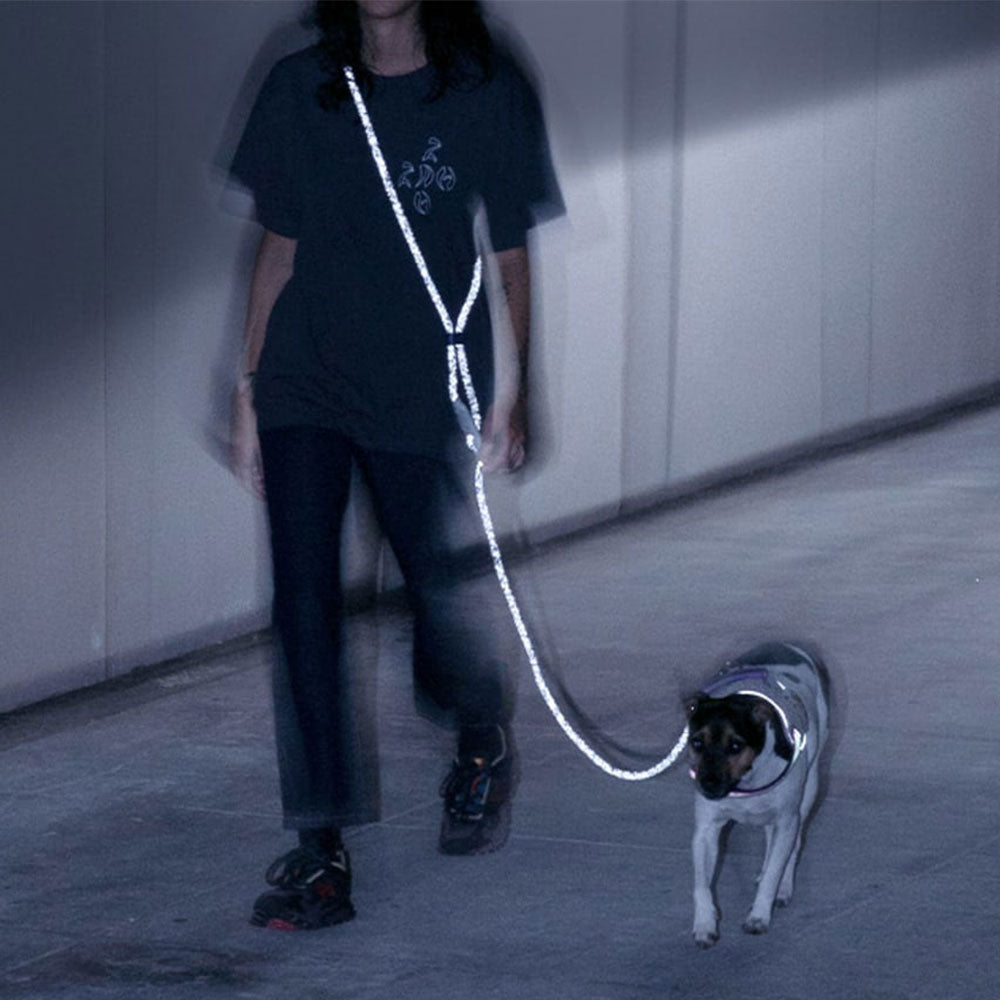 Zee.Dog handsfree leash Nox
