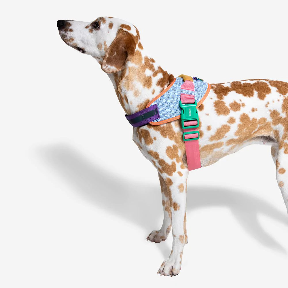 Zee.Dog Fly harnas Galaxy