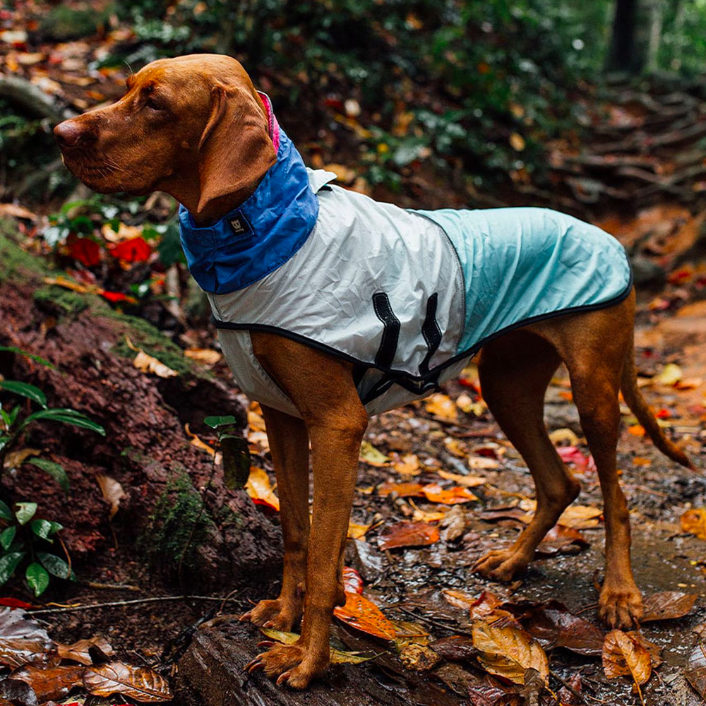 Zee.Dog 90'S Raincoat
